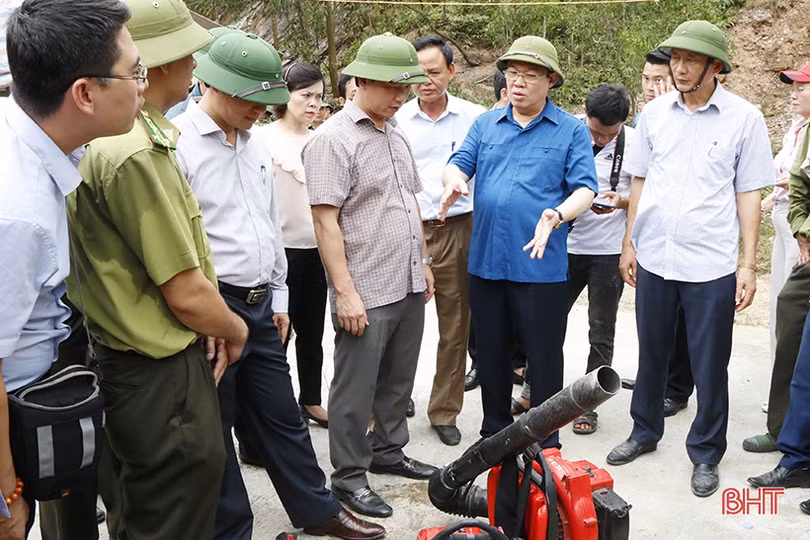 Phó Thủ tướng Vương Đình Huệ: Chủ động “4 tại chỗ” trong phòng chống cháy rừng