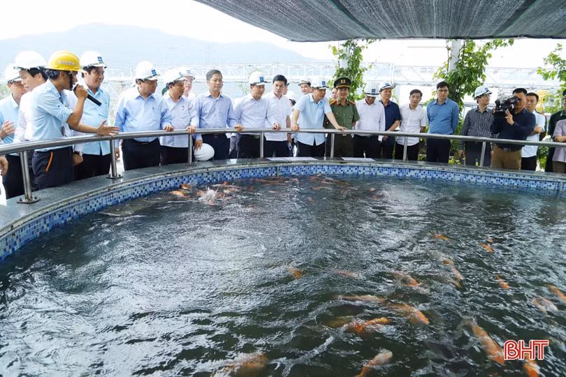 Nước thải và khí thải của Formosa Hà Tĩnh được kiểm soát 24/24 bằng hệ thống quan trắc tự động