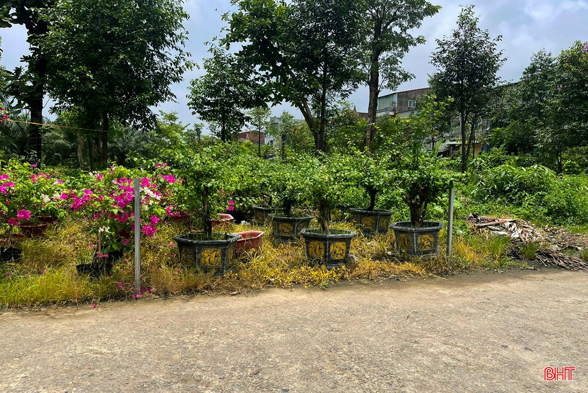 bqbht_br_thuoc-bao-ve-thuc-vat.jpg