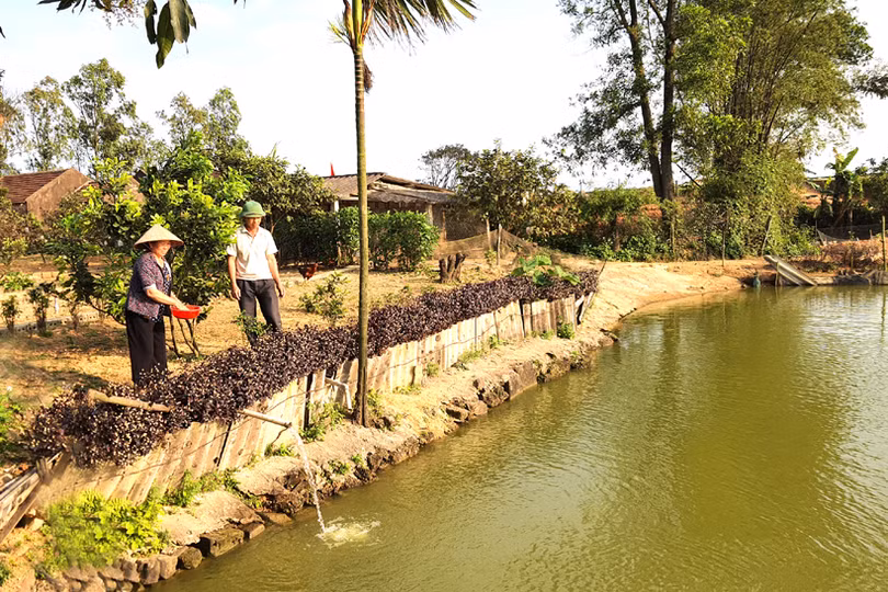 Linh hoạt triển khai nghị quyết đầu tiên trong nhiệm kỳ mới của Đảng bộ huyện Kỳ Anh