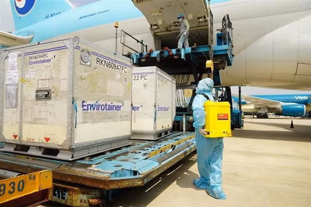 9 nhóm đối tượng ưu tiên và miễn phí tiêm vaccine COVID-19