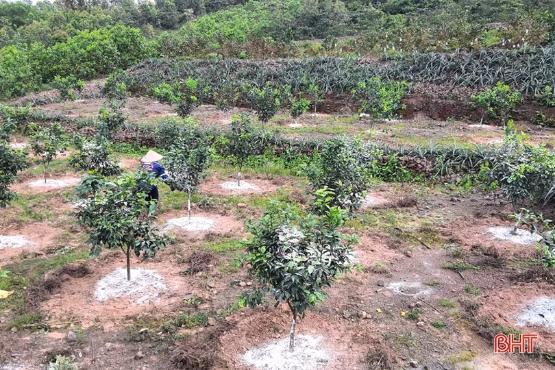 Linh hoạt triển khai nghị quyết đầu tiên trong nhiệm kỳ mới của Đảng bộ huyện Kỳ Anh