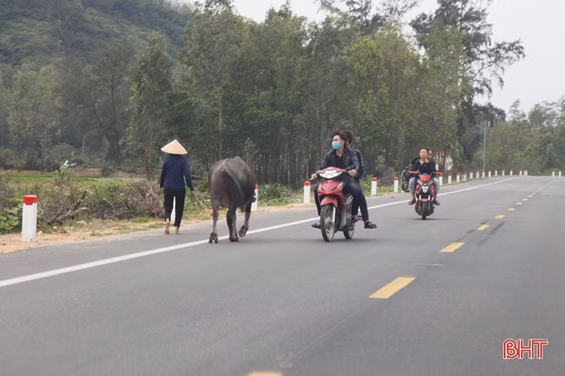 “Nam thanh, nữ tú” đầu trần chạy xe máy trên đường ven biển Hà Tĩnh