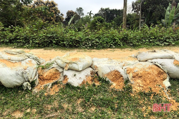 Gần 46 tỷ đồng nâng cấp đê Tân Long