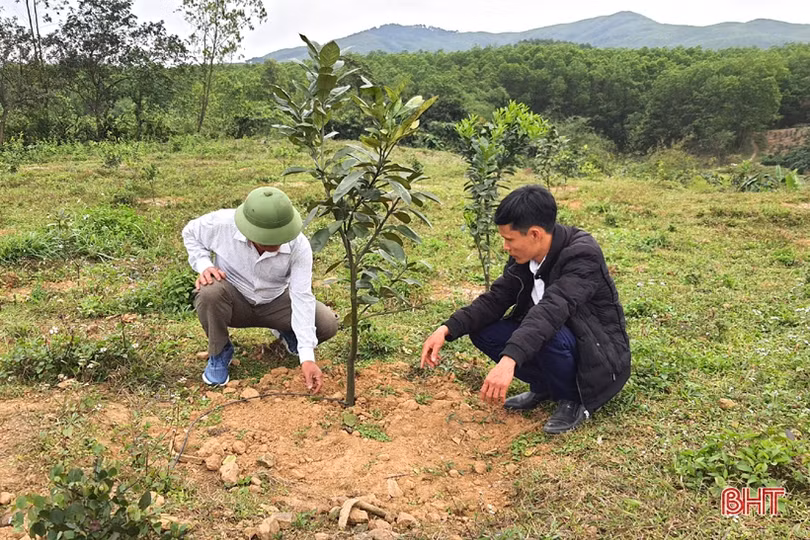 Linh hoạt triển khai nghị quyết đầu tiên trong nhiệm kỳ mới của Đảng bộ huyện Kỳ Anh