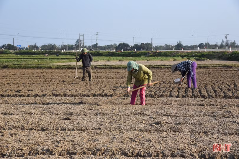 Chủ tịch UBND tỉnh Hà Tĩnh yêu cầu các sở, ngành, địa phương quyết liệt thực hiện nhiệm vụ sau kỳ nghỉ tết