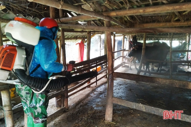 Thêm 2 xã ở Lộc Hà phát sinh bệnh viêm da nổi cục