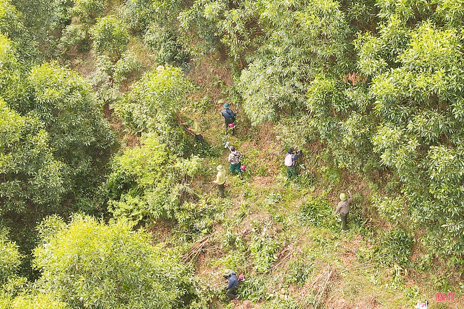 bqbht_br_dt-dji-0076.jpg
