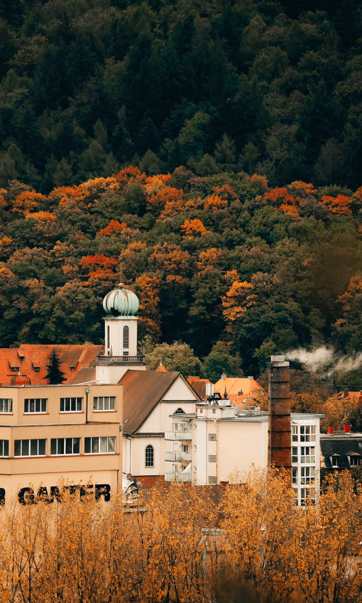 Bức tranh mùa thu ở phía nam nước Đức