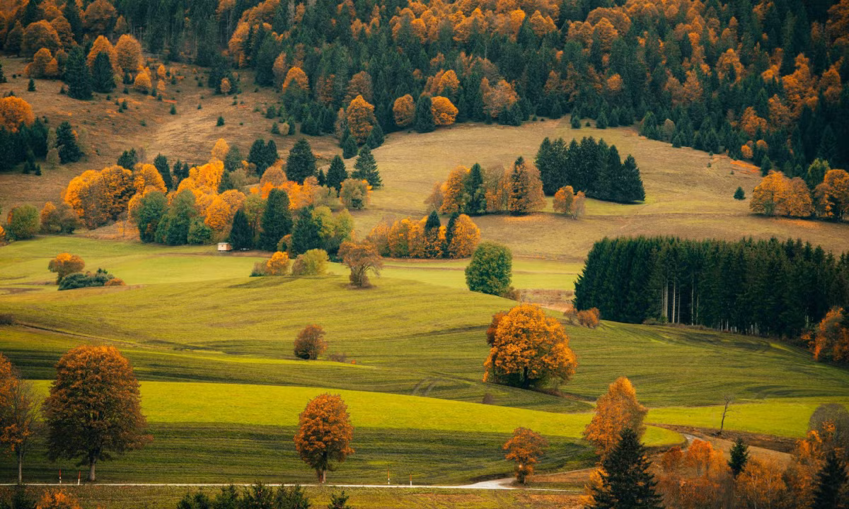 Bức tranh mùa thu ở phía nam nước Đức