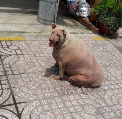 10 anh hai hot nhat facebook trong ngay