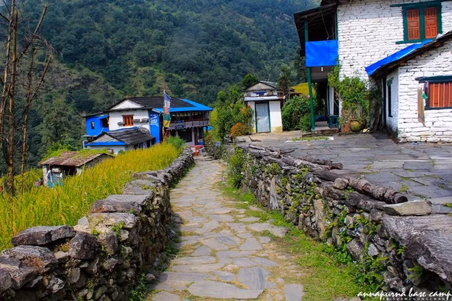 ngoi lang chenh venh tren vach nui dep nhu tranh tren day himalaya