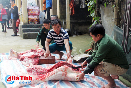 ban rao tre vui mung don tet cham cha boi