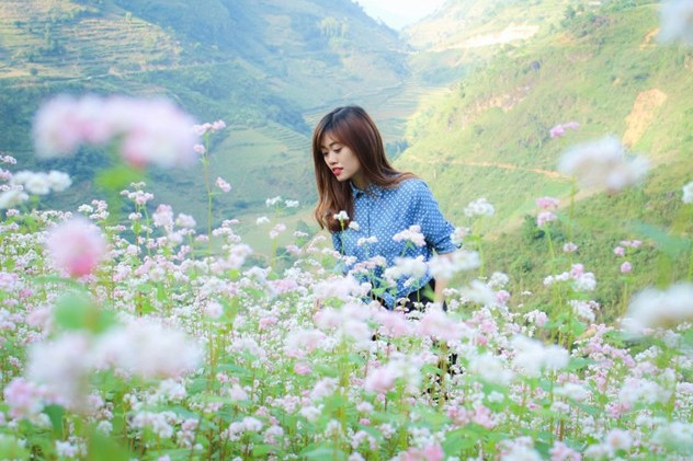 loat anh mua thu vung cao o viet nam
