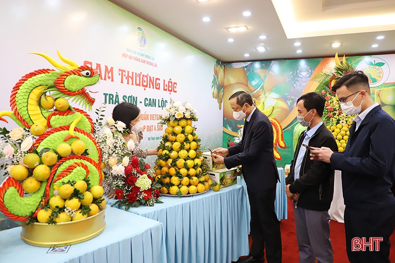 Cam Hà Tĩnh “biến hóa” đẹp mắt tại hội nghị quảng bá thương hiệu