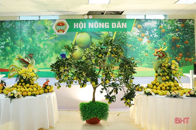 Cam Hà Tĩnh “biến hóa” đẹp mắt tại hội nghị quảng bá thương hiệu