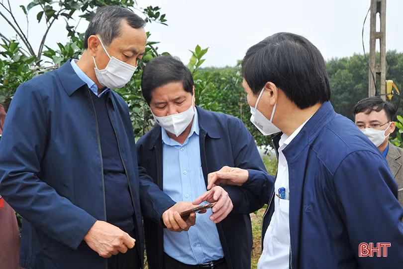 Nâng cao công tác quản lý, thực hiện số hóa cây đầu dòng, bảo vệ giống cam ở Hà Tĩnh