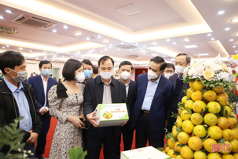 Cam Hà Tĩnh “biến hóa” đẹp mắt tại hội nghị quảng bá thương hiệu