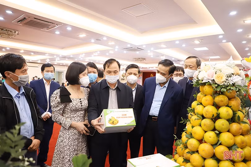 Cam Hà Tĩnh “biến hóa” đẹp mắt tại hội nghị quảng bá thương hiệu