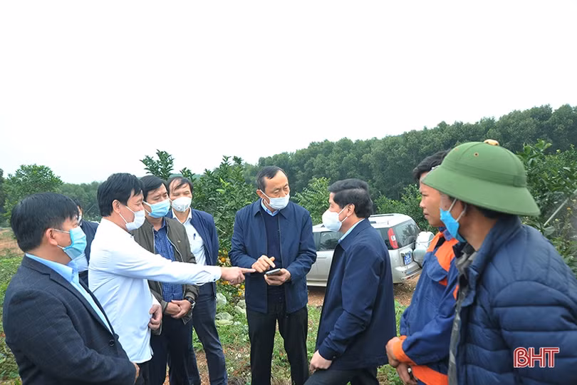 Nâng cao công tác quản lý, thực hiện số hóa cây đầu dòng, bảo vệ giống cam ở Hà Tĩnh