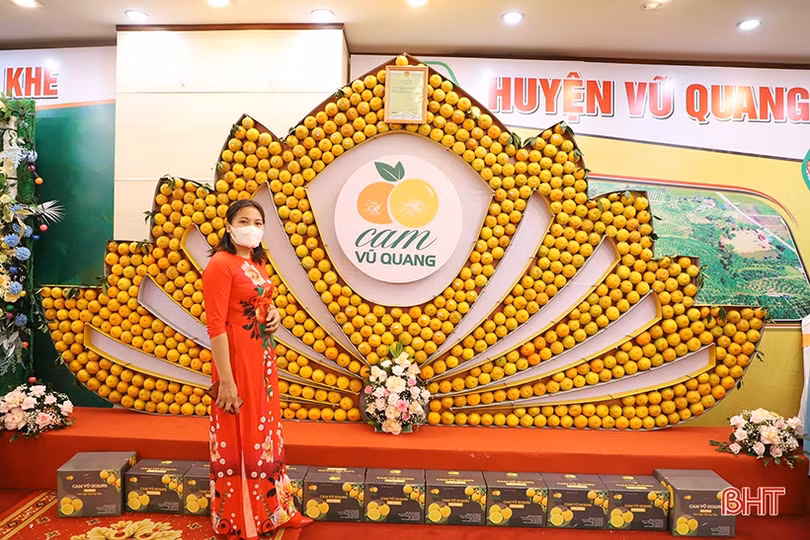 Cam Hà Tĩnh “biến hóa” đẹp mắt tại hội nghị quảng bá thương hiệu