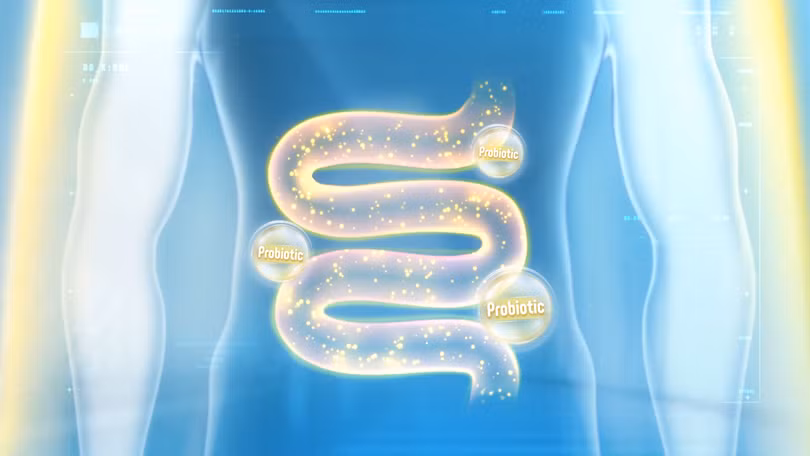 Bổ sung lợi khuẩn Probiotic, tăng sức đề kháng, bảo vệ sức khoẻ mùa dịch