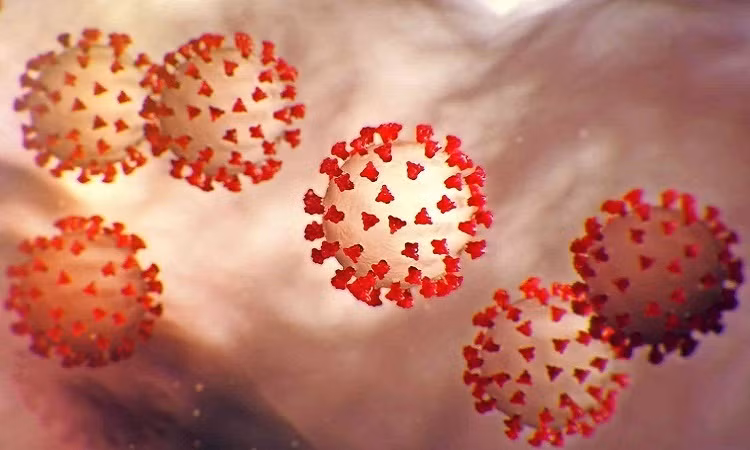 Tình trạng sức khỏe sẽ ra sao khi bị tái mắc COVID-19?