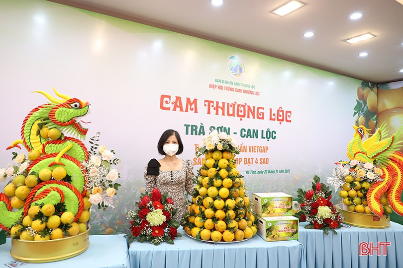 Cam Hà Tĩnh “biến hóa” đẹp mắt tại hội nghị quảng bá thương hiệu