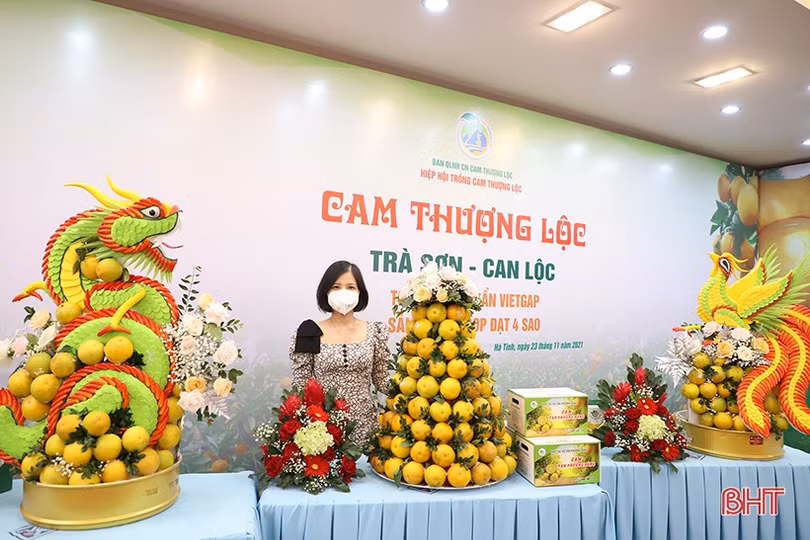 Cam Hà Tĩnh “biến hóa” đẹp mắt tại hội nghị quảng bá thương hiệu