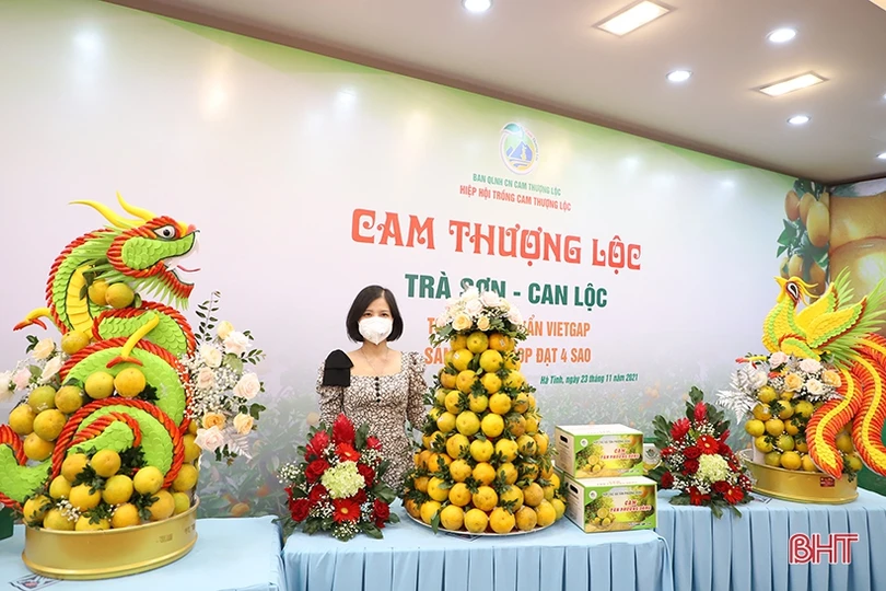 Cam Hà Tĩnh “biến hóa” đẹp mắt tại hội nghị quảng bá thương hiệu