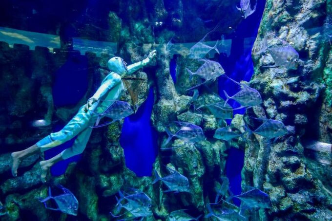 Bên trong thủy cung lớn nhất Trung Đông