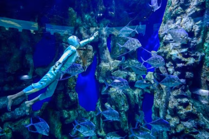 Bên trong thủy cung lớn nhất Trung Đông