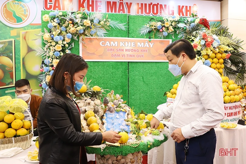 Cam Hà Tĩnh “biến hóa” đẹp mắt tại hội nghị quảng bá thương hiệu