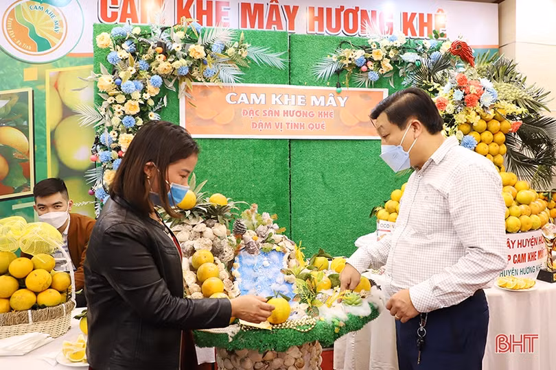Cam Hà Tĩnh “biến hóa” đẹp mắt tại hội nghị quảng bá thương hiệu