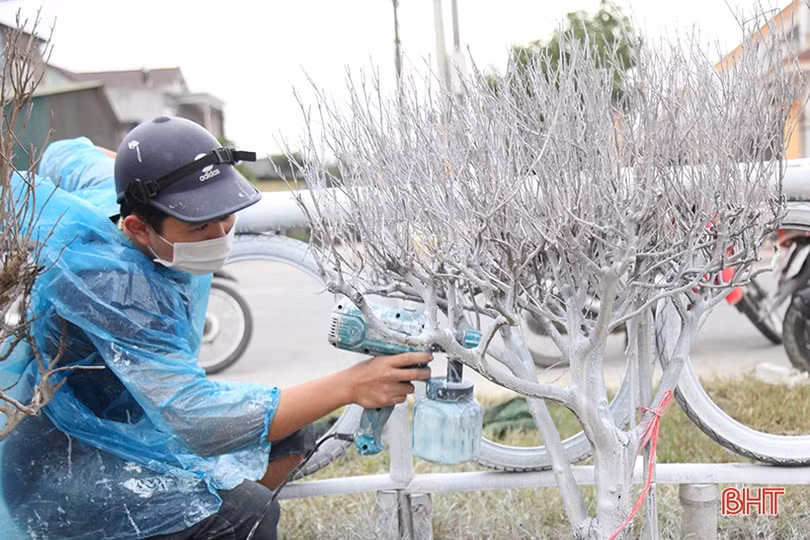 Bà con giáo dân dựng hang đá khổng lồ mừng đón Giáng sinh ở Hà Tĩnh