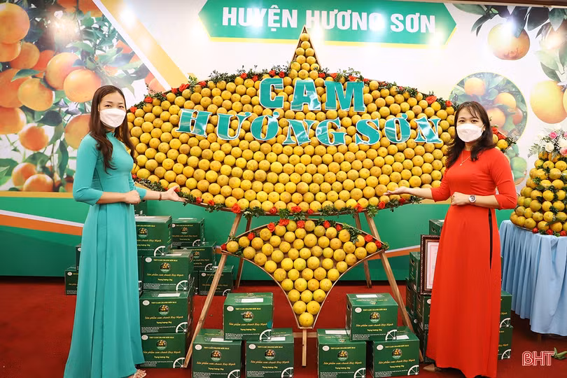 Cam Hà Tĩnh “biến hóa” đẹp mắt tại hội nghị quảng bá thương hiệu