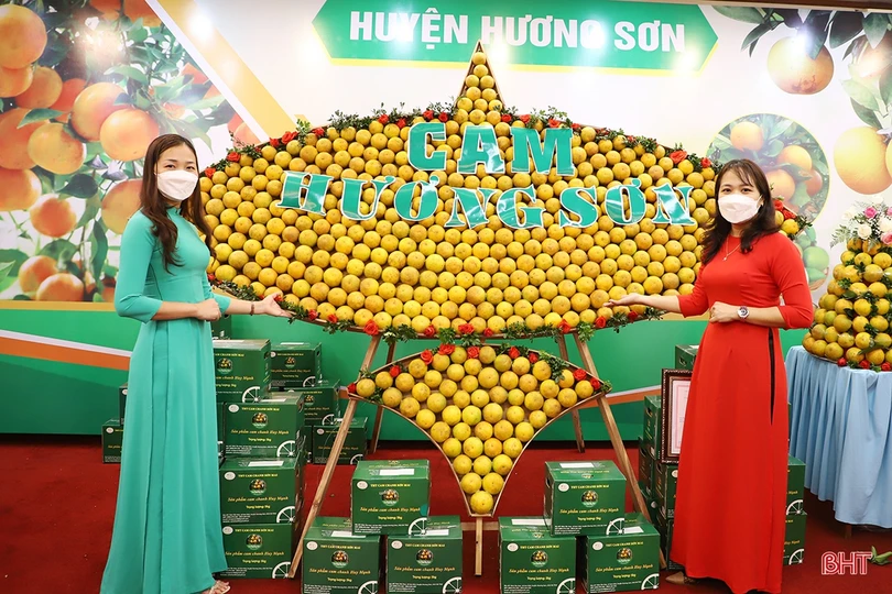 Cam Hà Tĩnh “biến hóa” đẹp mắt tại hội nghị quảng bá thương hiệu