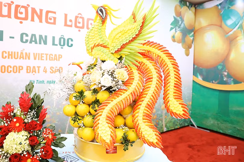 Cam Hà Tĩnh “biến hóa” đẹp mắt tại hội nghị quảng bá thương hiệu