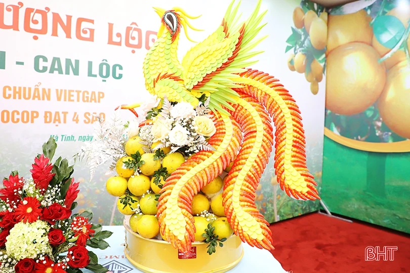 Cam Hà Tĩnh “biến hóa” đẹp mắt tại hội nghị quảng bá thương hiệu