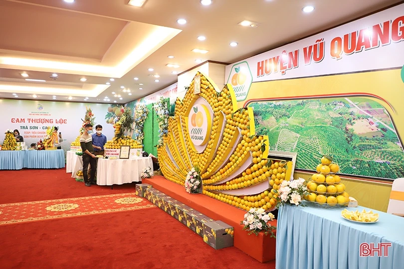 Cam Hà Tĩnh “biến hóa” đẹp mắt tại hội nghị quảng bá thương hiệu