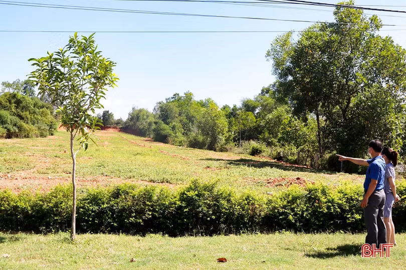 Hà Tĩnh chỉ đạo chấn chỉnh tình trạng tách thửa, phân lô, bán nền trái phép