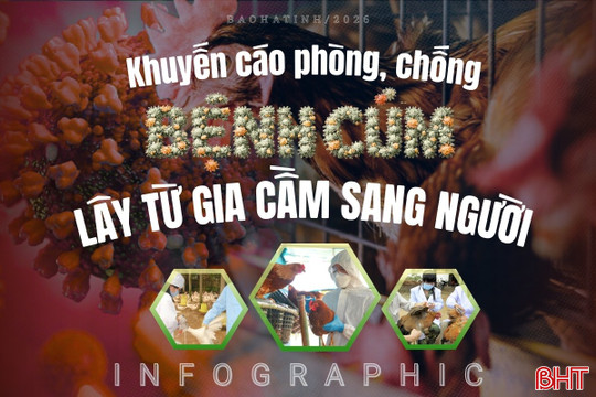 [Infographic] Khuyến cáo phòng, chống bệnh cúm lây từ gia cầm sang người