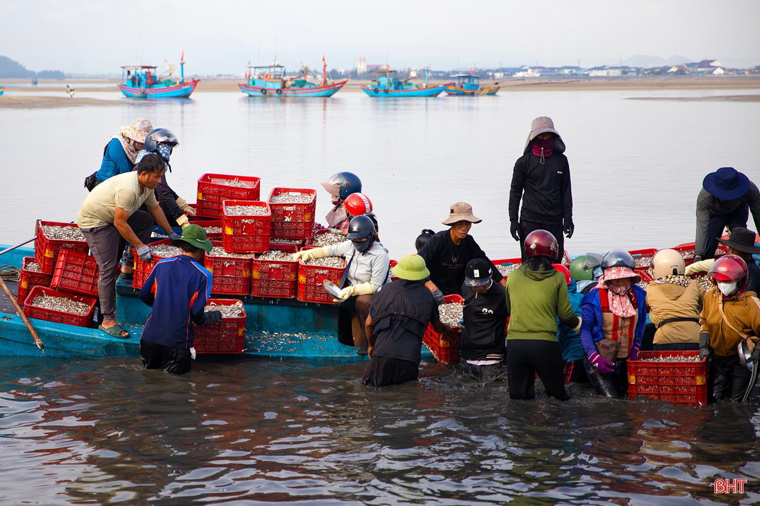 ទូករបស់លោក Nguyen Van Hoan (តំបន់លំនៅដ្ឋាន Tam Hai 2 Ward Ky Ninh) ទើបតែចូលចតជាមួយពស់វែកជាង ៤ តោន។ លោក Hoan បានចែករំលែកដោយក្តីរំភើបថា៖ bqbht_br_ag7a5156-copy.jpg