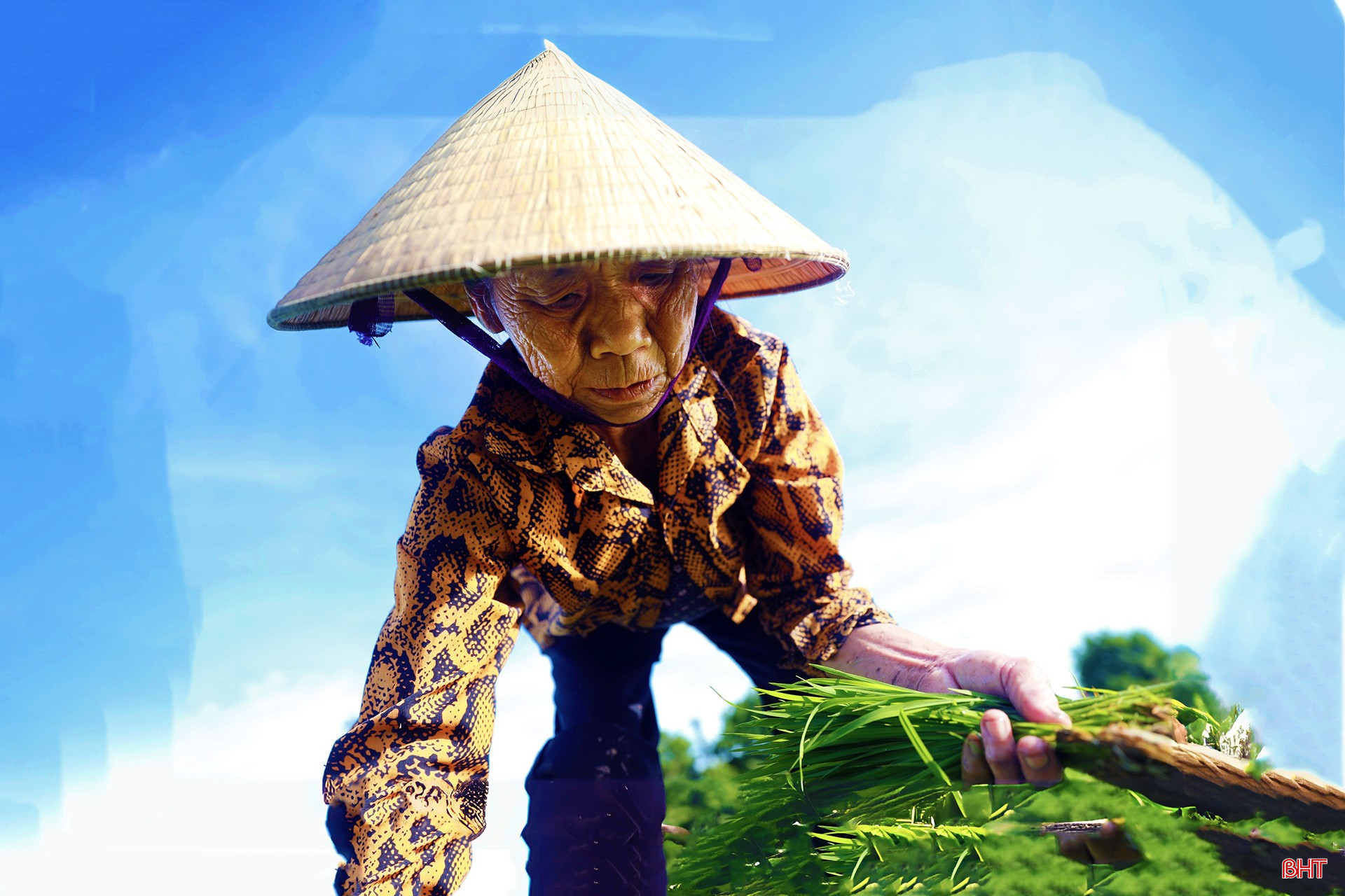 អ្នកស្រី Vo Thi Phang (ភូមិ Hoa Tan ឃុំ Ky Hoa) បាននិយាយថា “ភ្លៀងថ្មីៗនេះបានបំផ្លាញគ្រាប់ពូជ PC6 ចំនួន 3 សៅរបស់ខ្ញុំទាំងស្រុង ភ្លាមៗនោះខ្ញុំបានរៀបចំដីដើម្បីសាបព្រួសថ្មីភ្លាមៗ។ ពេលល្ងាចដើម្បីជៀសវាងពន្លឺថ្ងៃ ហើយធ្វើការកាន់តែមានផលិតភាព»។ bqbht_br_web-podcast-cms-bht-2.jpg