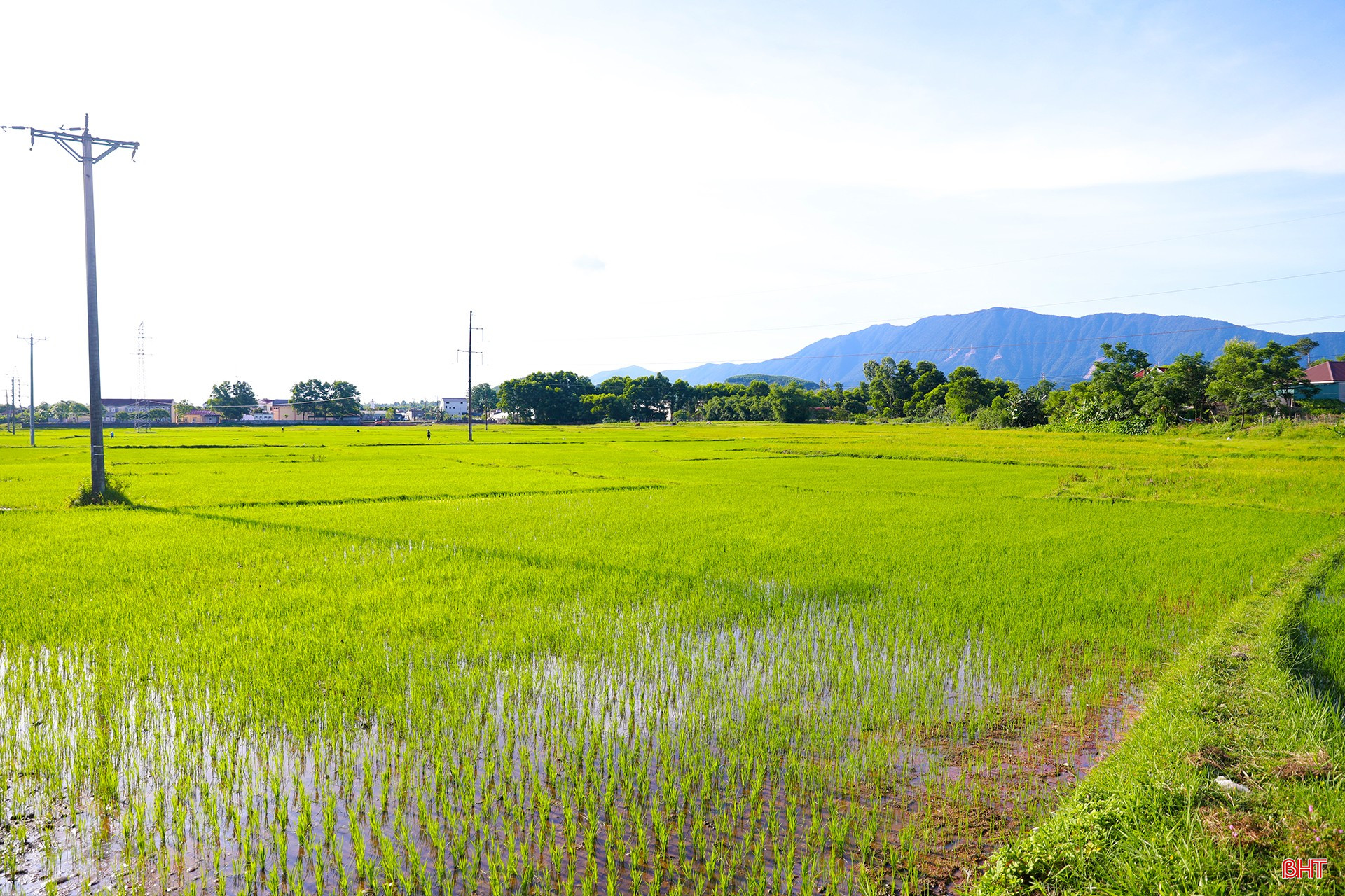 បន្ទាប់ពីមានភ្លៀងធ្លាក់ខ្លាំងដោយព្យុះទី១ ទីរួមខេត្តគីអាញ់បានដាំស្រូវរដូវក្តៅដល់រដូវស្លឹកឈើជ្រុះចំនួន២១០ហិចតាខូចខាតទាំងស្រុង។ ភ្លាមៗបន្ទាប់ពីទឹកស្រក កសិករនៅតាមមូលដ្ឋានបានផ្តោតការយកចិត្តទុកដាក់លើការរៀបចំដី សាបព្រួសគ្រាប់ពូជឡើងវិញ និងយកចិត្តទុកដាក់យ៉ាងសកម្មដើម្បីធានាដល់រដូវ។ bqbht_br_ag7a6897.jpg