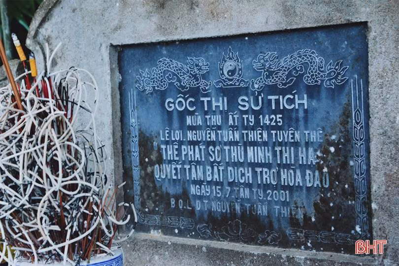 Mục sở thị cây thị cổ hơn 700 tuổi ở Hà Tĩnh