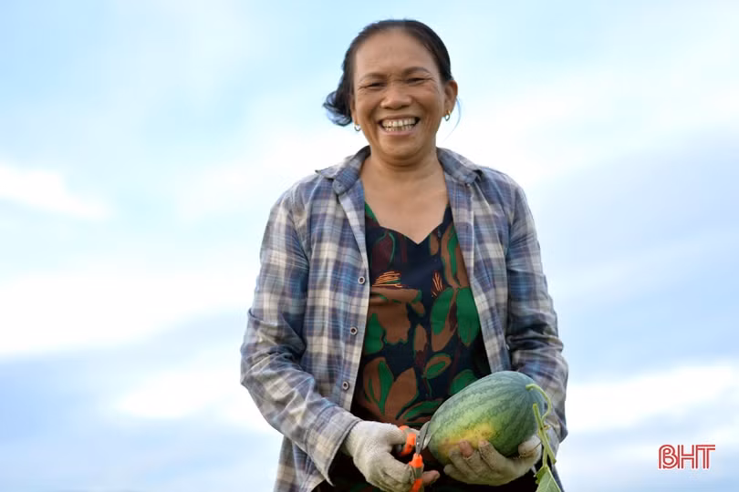 Giá dưa tăng gấp đôi, nông dân Kỳ Hoa tính chuyện mở rộng diện tích