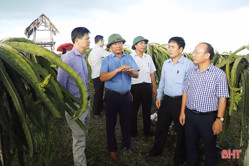 Chánh Văn phòng NTM Trung ương tin Can Lộc sẽ về đích huyện nông thôn mới trước 2020