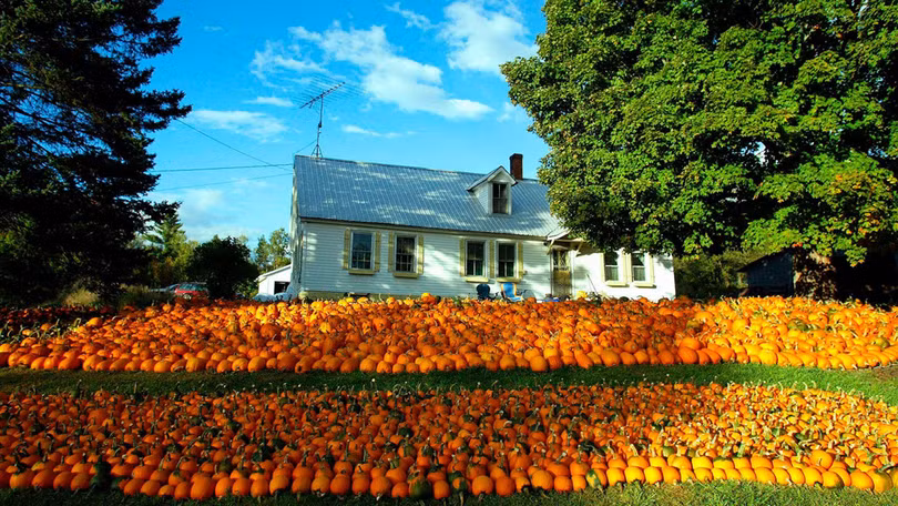 6 thị trấn xinh đẹp đang “cầu xin” thêm người đến sống