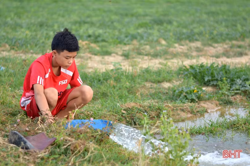 Giá dưa tăng gấp đôi, nông dân Kỳ Hoa tính chuyện mở rộng diện tích